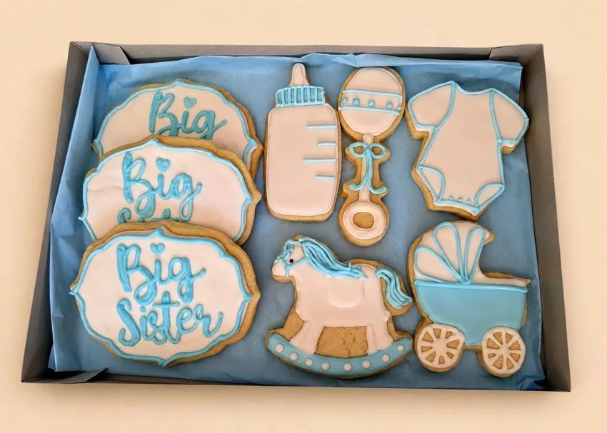 Big Sister Announcement Set