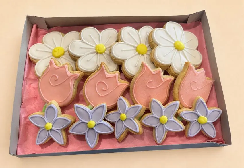 Boxed daisies, tulips, and star flowers, smaller set